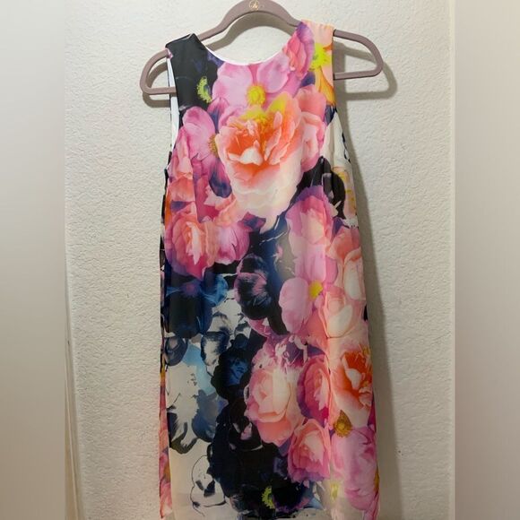 Vince Camuto COLORFUL Dress size 6 Pink Floral SHEER Lined Exposed Back Zip - Picture 1 of 6
